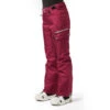 Wanderlust Hypadri Ski Pant Violet Alure
