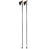 Adult Cross-country Ski Poles 900