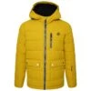 Dare 2b Folly Kids' Ski Jacket